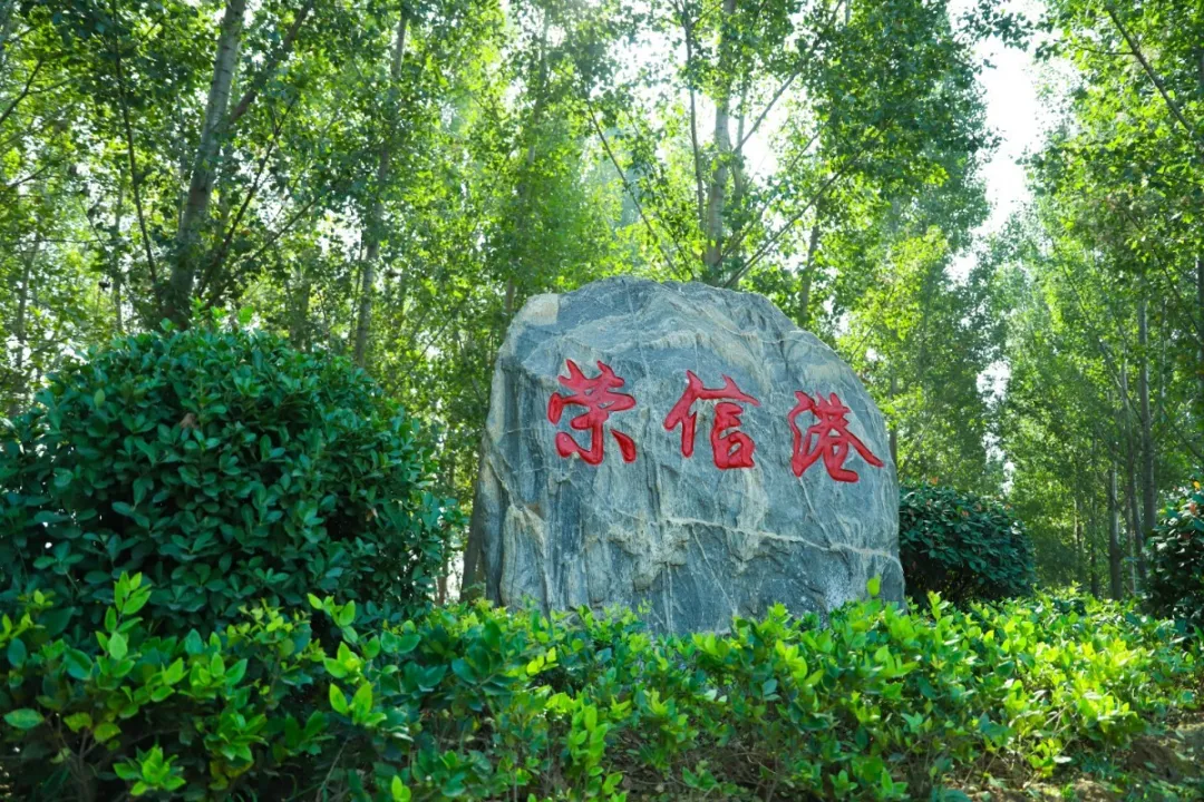 1611039841870472GYtR.jpg 3546768.jpg